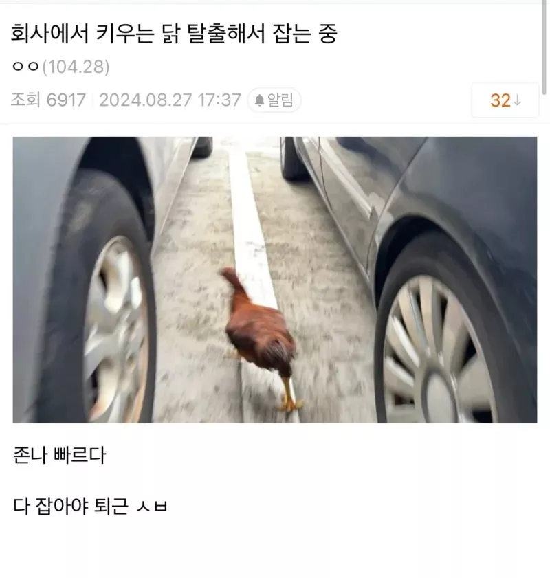 본문 이미지